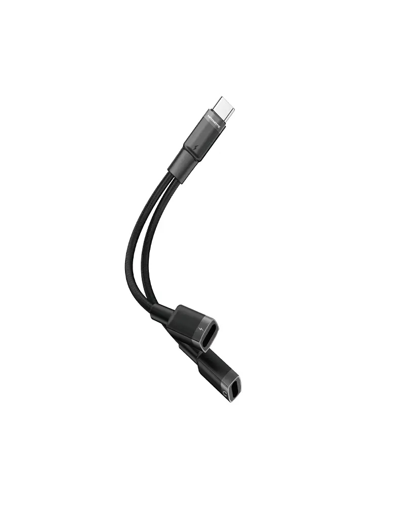 MPV616C Type-C to Dual Type C 